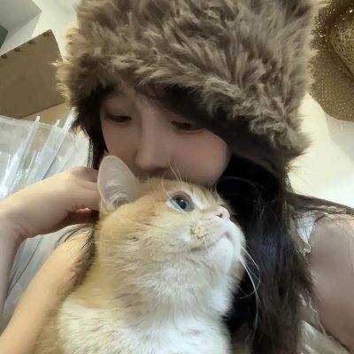 绘图师的合约